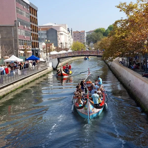 Aveiro District cover