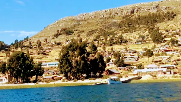 Puno cover