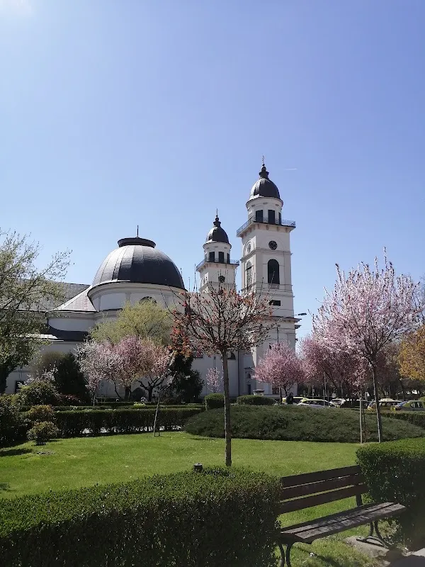 Satu Mare cover