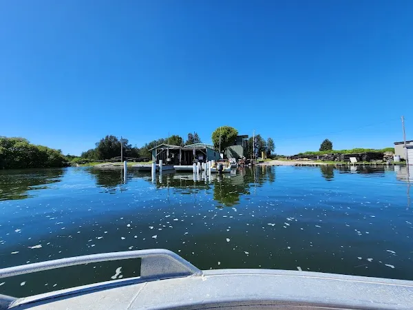 Forster cover