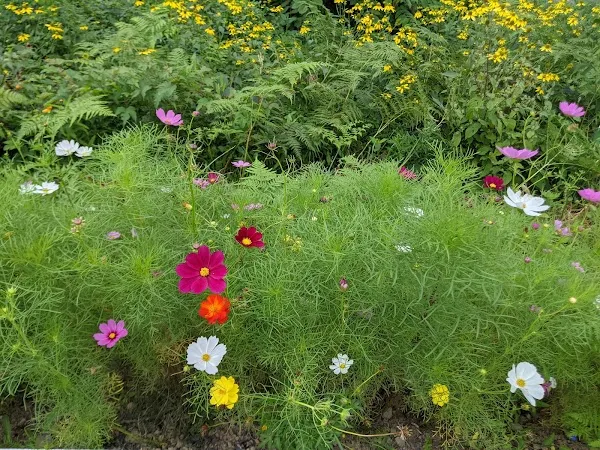 Akita Prefecture cover