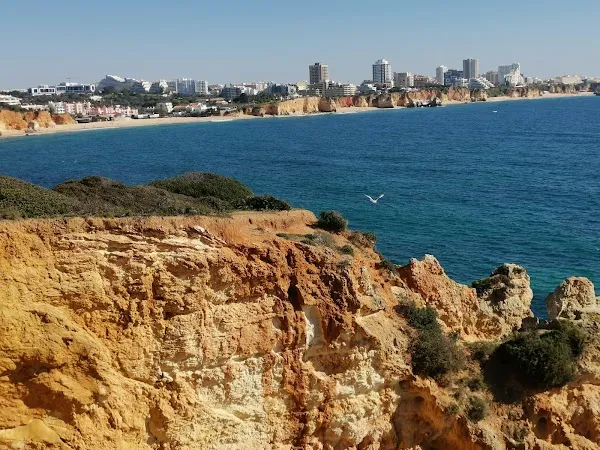Alvor cover