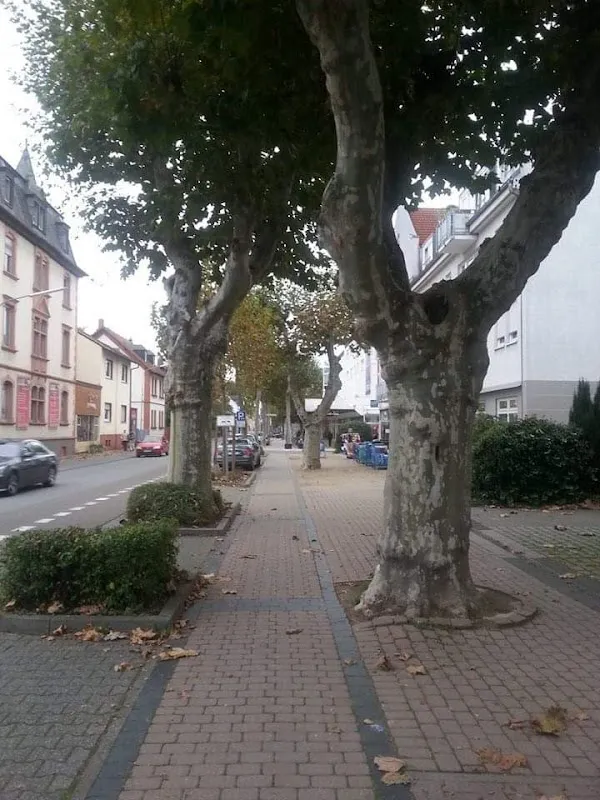 Langen cover