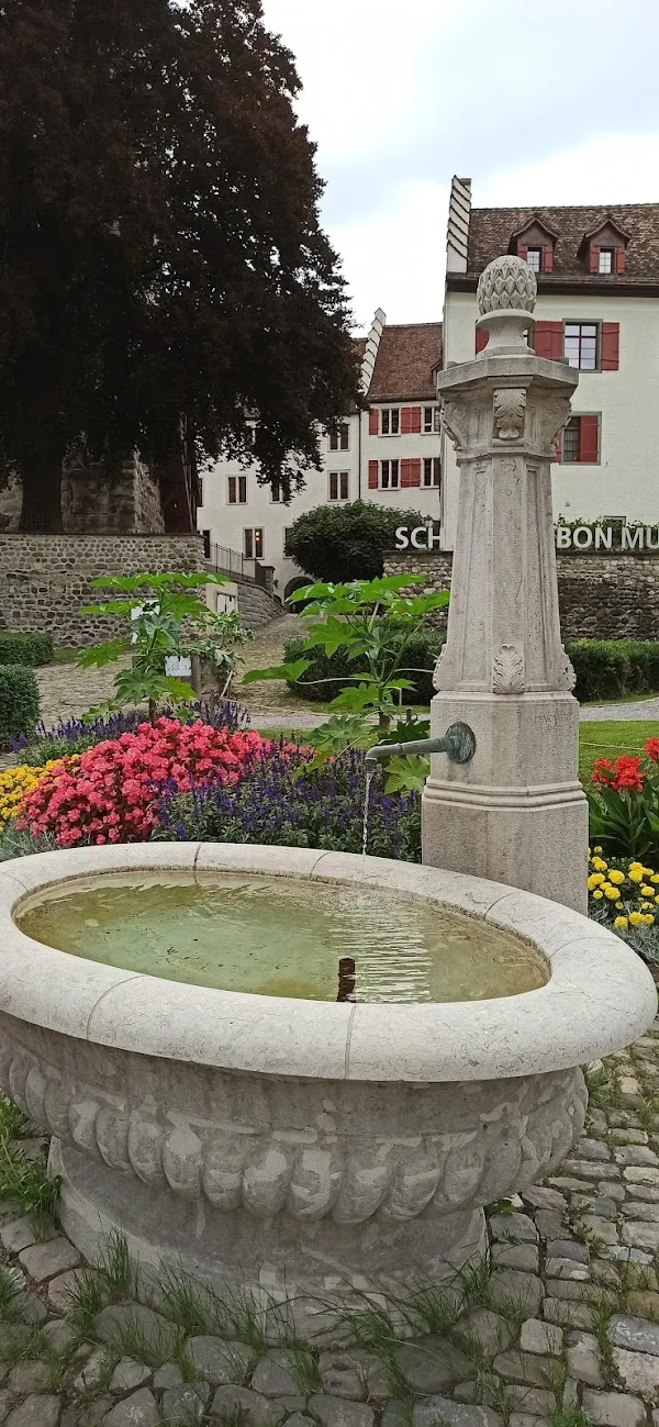 Arbon cover