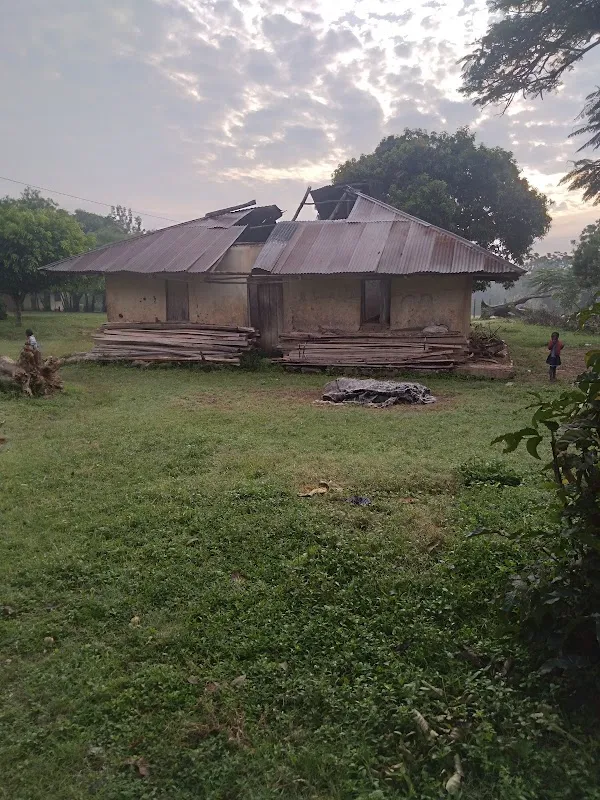 Tororo cover