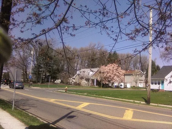 East Brunswick cover