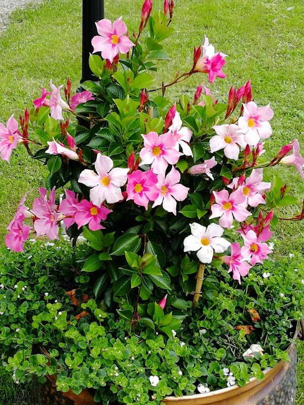 Halland County cover