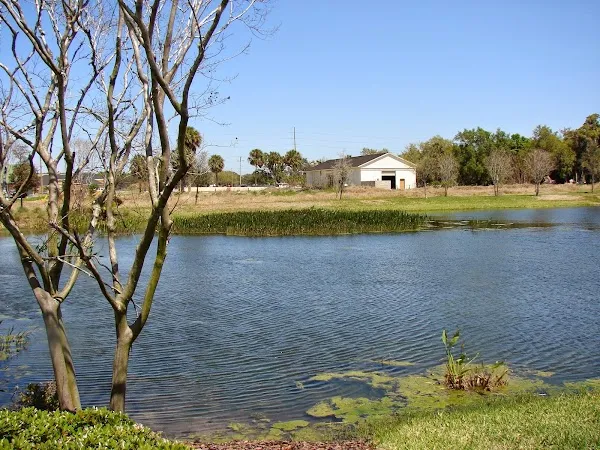 Riverview cover