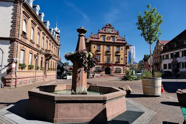 Herbolzheim cover