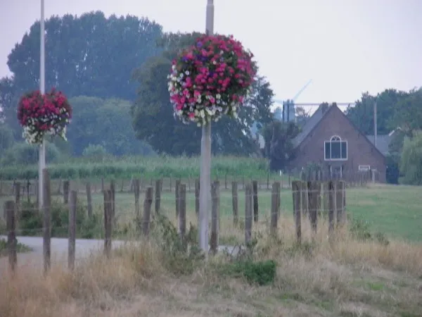 Gemeente Kaag en Braassem cover