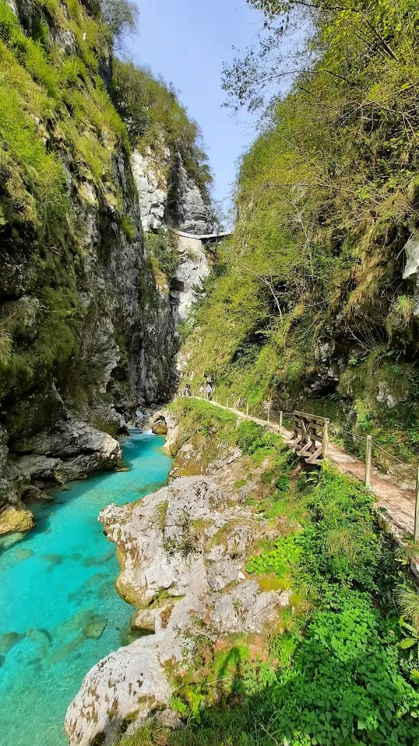 Tolmin cover