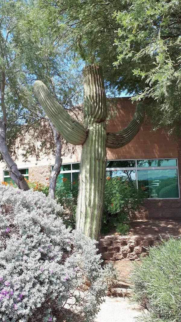 Casa Grande cover