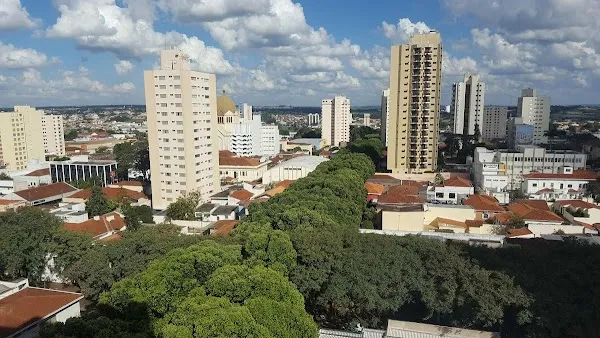 Araraquara cover