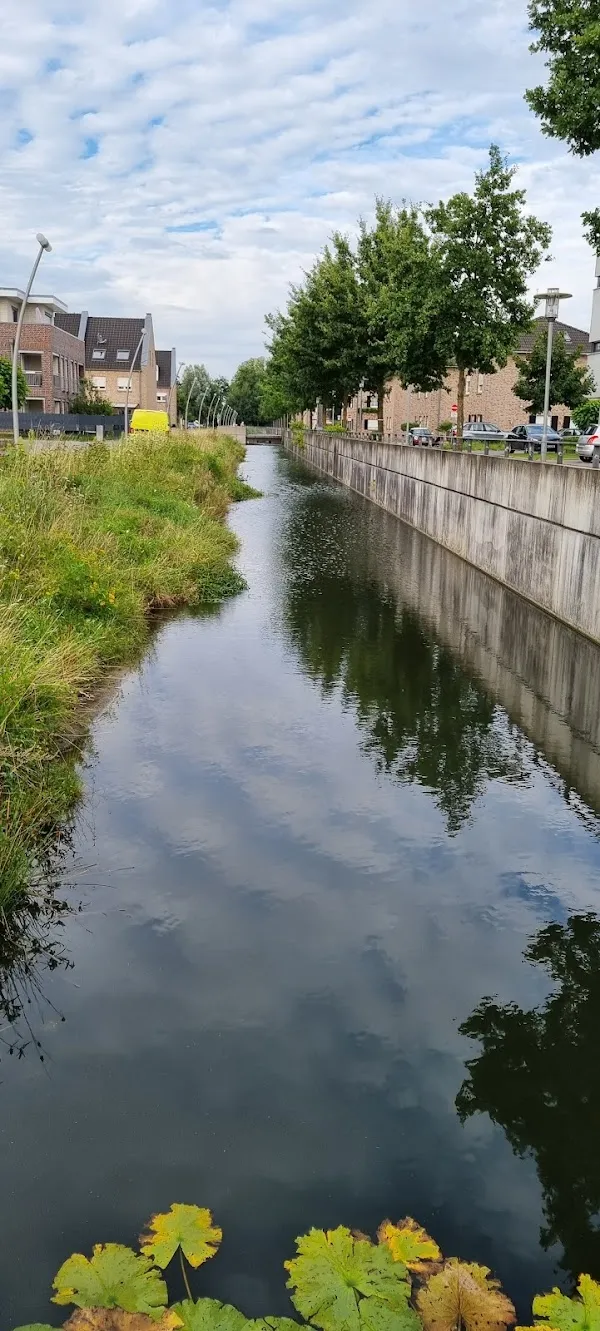 Gronau cover