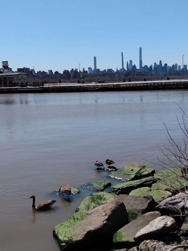 Edgewater cover