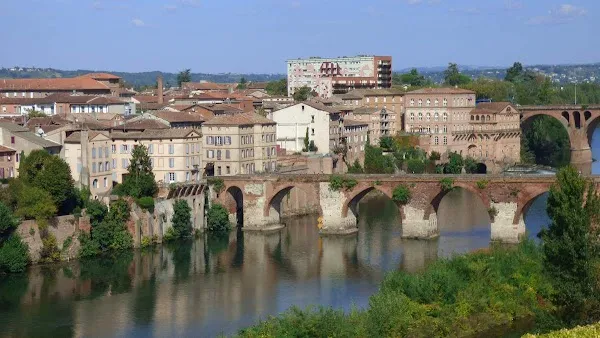 Albi cover