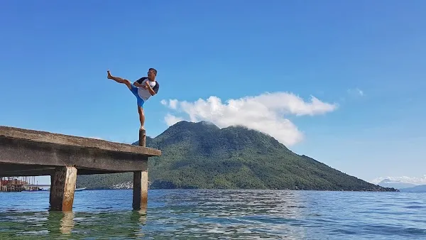 Ternate cover