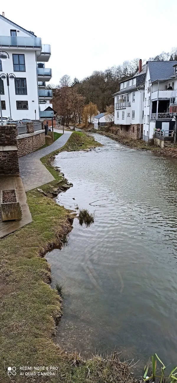 Simmern cover