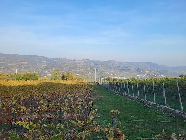 Soave cover