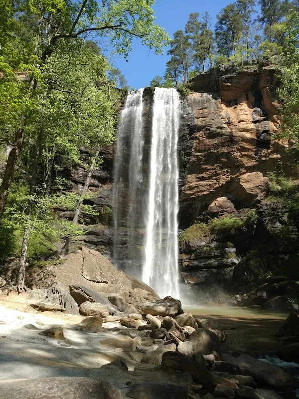 Toccoa cover