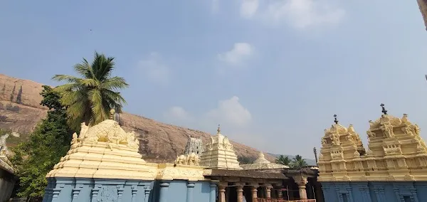 Vizianagaram cover