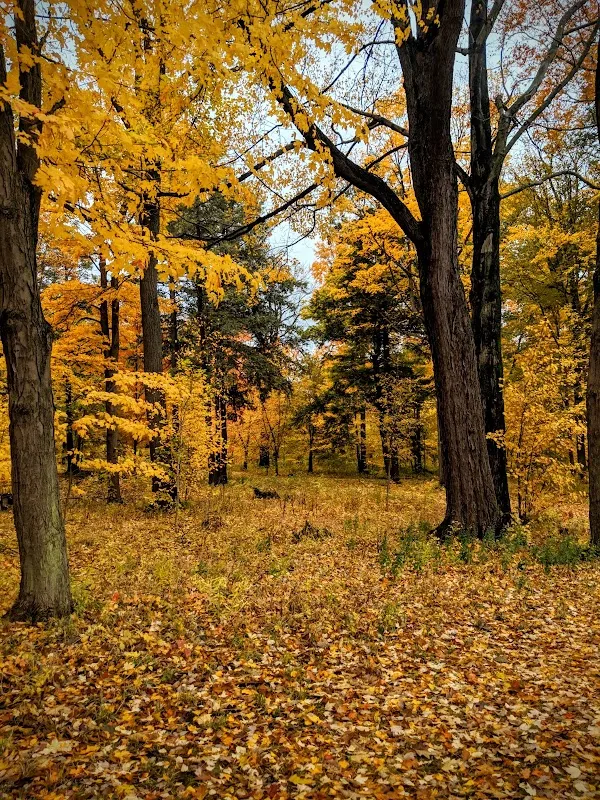 Lawrence Park cover