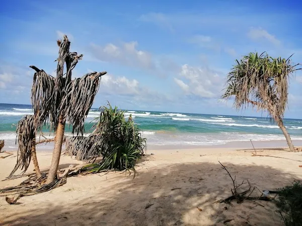 Galle cover