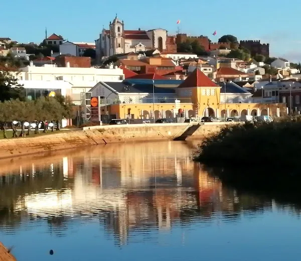 Silves cover