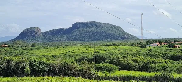 Aracoiaba cover