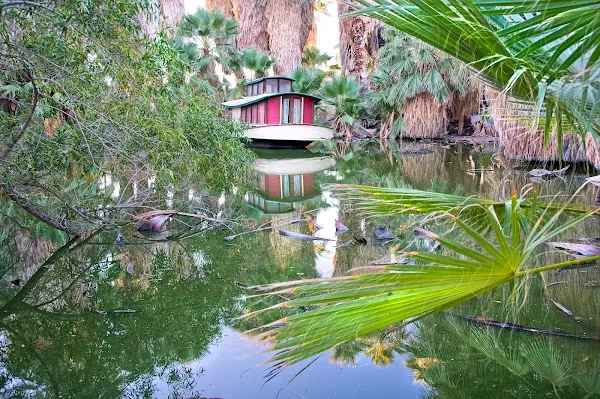 Twentynine Palms cover