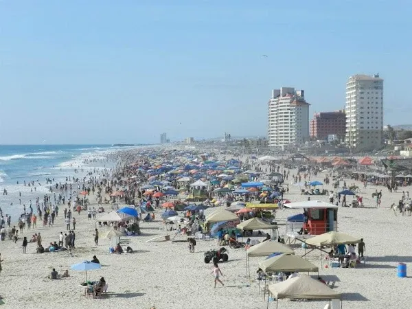 Rosarito cover