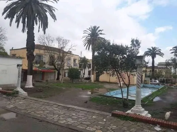 El Affroun cover