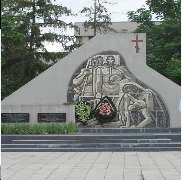 Cantemir District cover