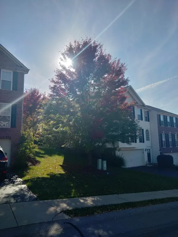 Cranberry Township cover