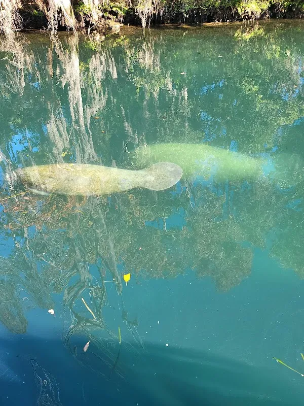 Crystal River cover