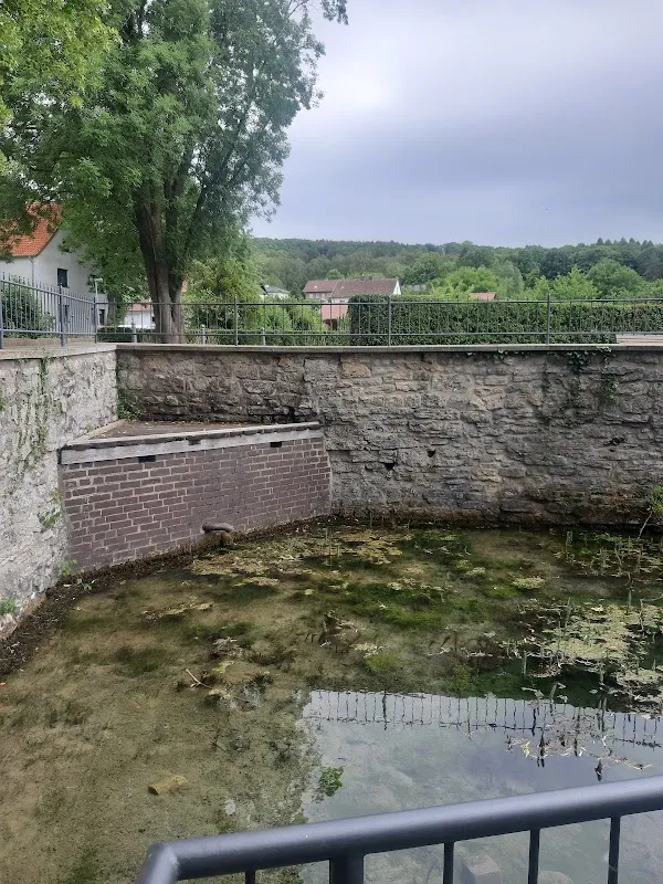 Nieheim cover