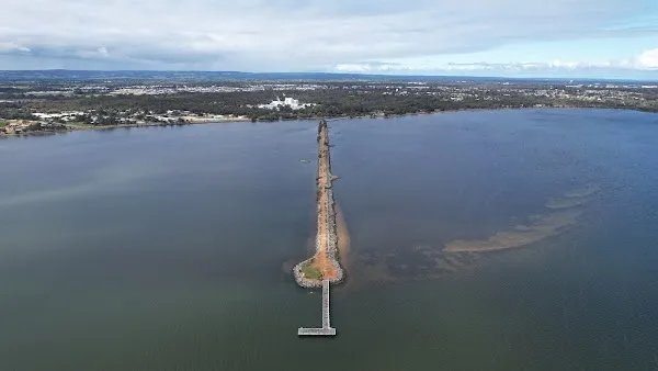 Australind cover