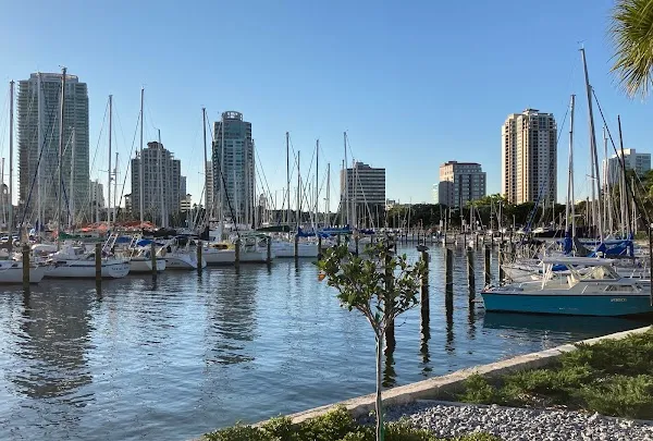 St. Petersburg cover