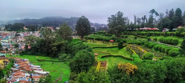 Ooty cover