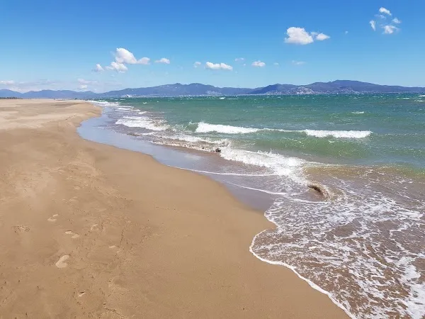Sant Pere Pescador cover