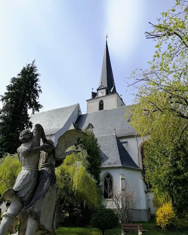 Schleiz cover