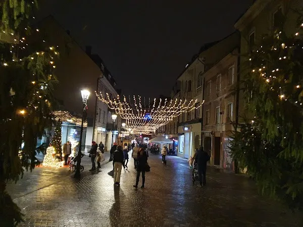 Celje cover