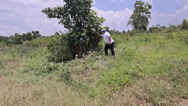 Luwero cover