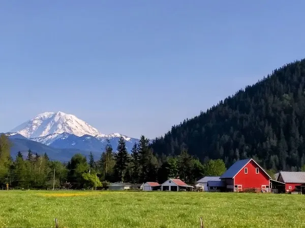 Enumclaw cover