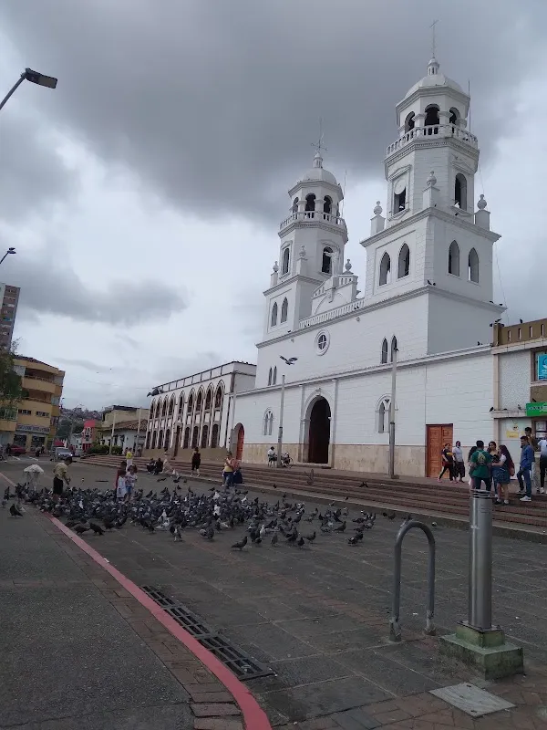 Floridablanca cover