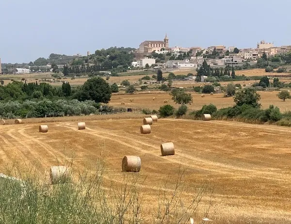 Santa Margalida cover