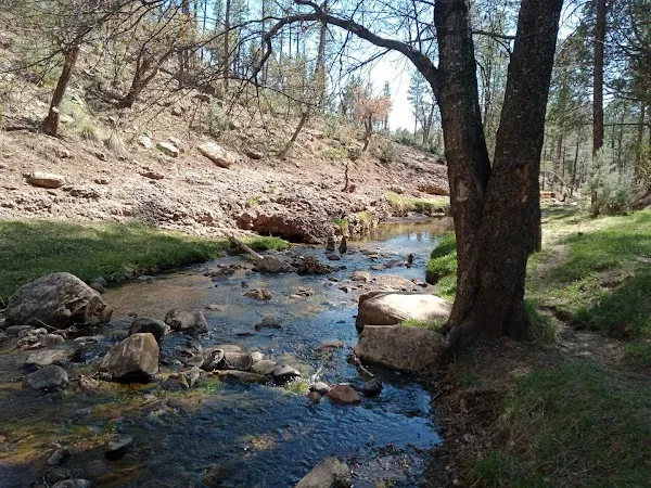 Payson cover