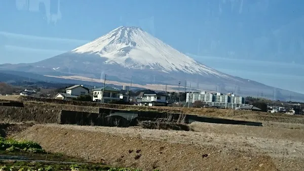 Susono cover