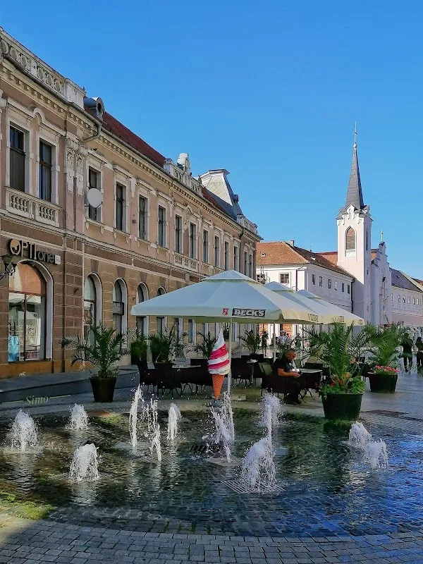 Oradea cover