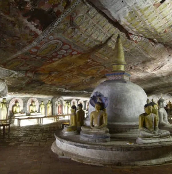 Dambulla cover